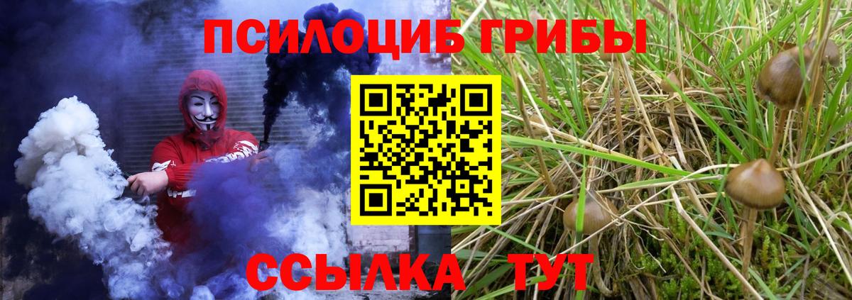 Галлюциногенные грибы прущие грибы Азнакаево