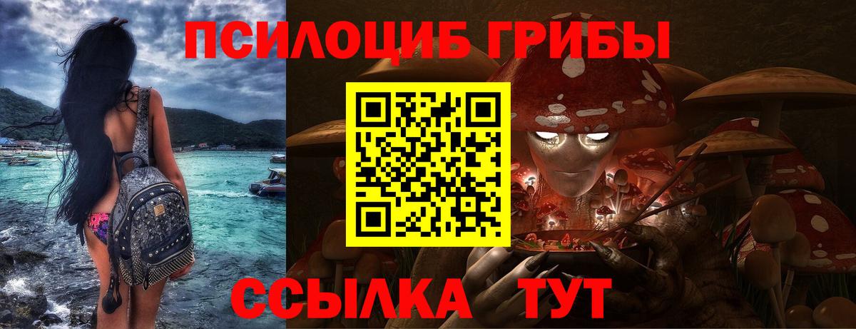 Азнакаево  Галлюциногенные грибы прущие грибы  Галлюциногенные грибы MAGIC MUSHROOMS  Вход с VPN 